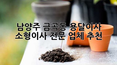 남양주 금곡동 용달이사, 소형이사 전문 업체 추천