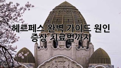 헤르페스 완벽 가이드: 원인, 증상, 치료법까지