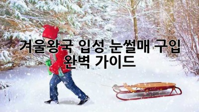 겨울왕국 입성! 눈썰매 구입 완벽 가이드
