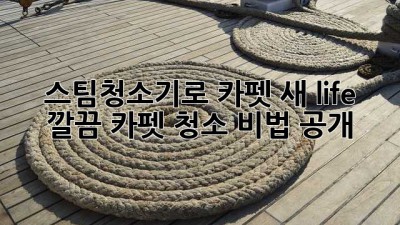 ✨ 스팀청소기로 카펫 새 life✨ 깔끔 카펫 청소 비법 공개!