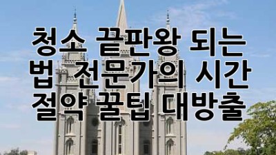 ✨ 청소 끝판왕 되는 법 🧹 전문가의 시간 절약 꿀팁 대방출!